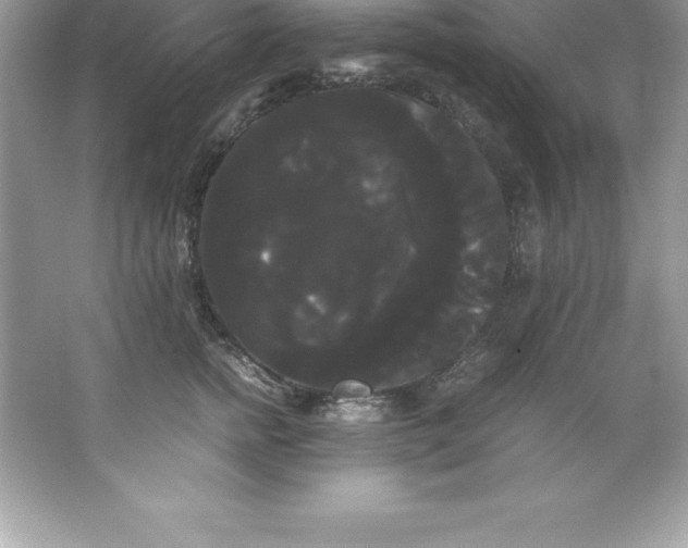 X0000066500758200604072240