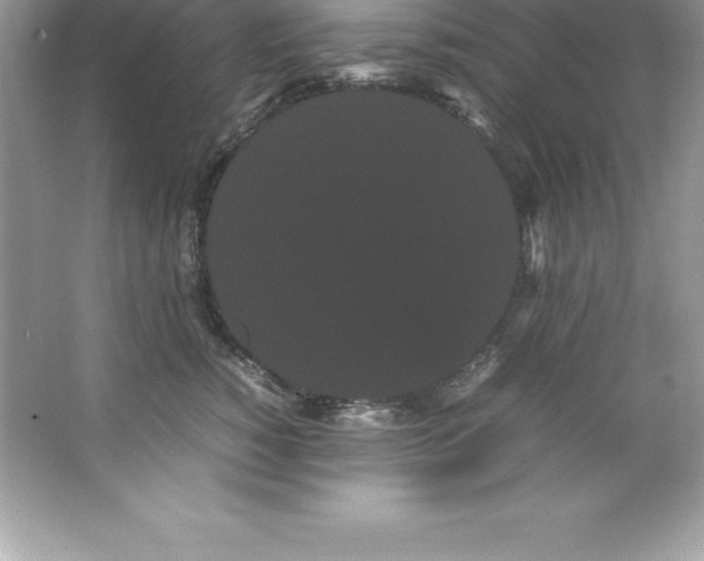 X0000066500760200604072240
