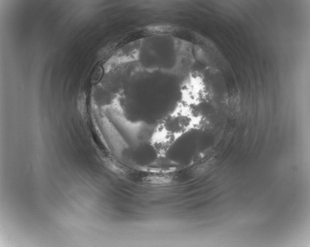 X0000066500765200604072241