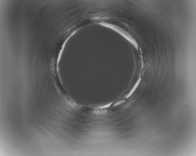 X0000066500767200604072241