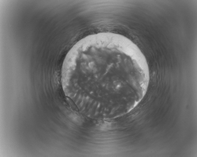X0000066500772200604072240