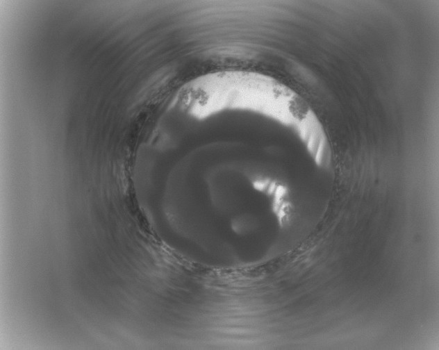 X0000066500774200604072240