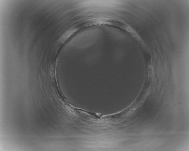 X0000066500785200604072240