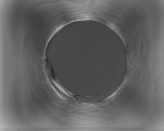 X0000066500789200604072239