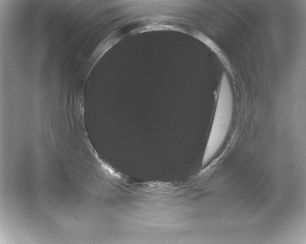X0000066500809200604072239