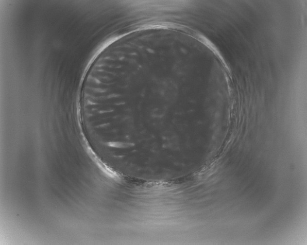 X0000066500811200604072239