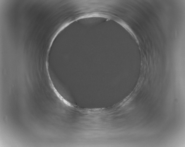 X0000066500813200604072239