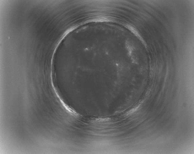 X0000066500845200604072239