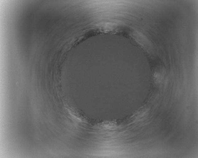 X0000066500865200604072238