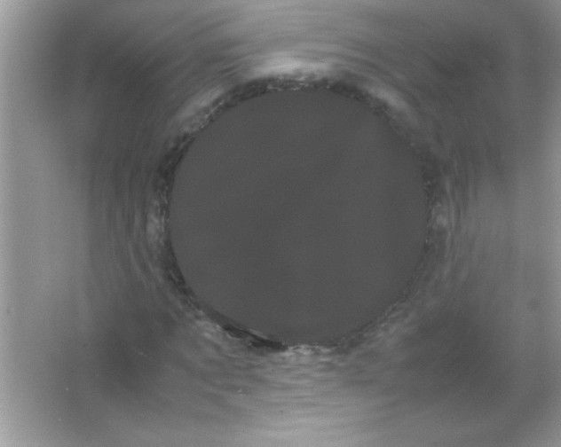 X0000066500869200604072238