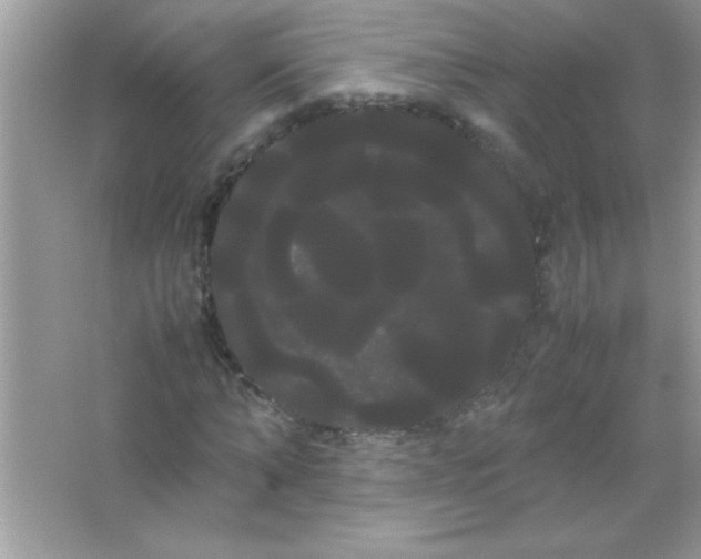 X0000066500870200604072238