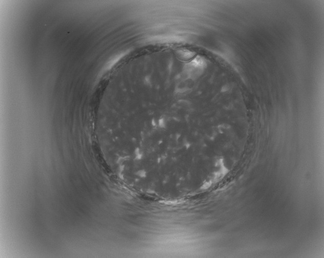 X0000066500871200604072238