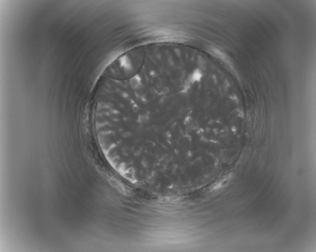 X0000066500875200604072238