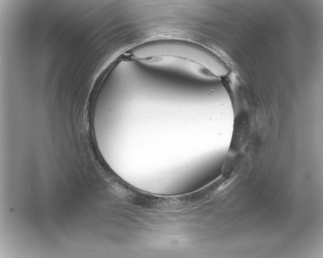 X0000066500885200604072238