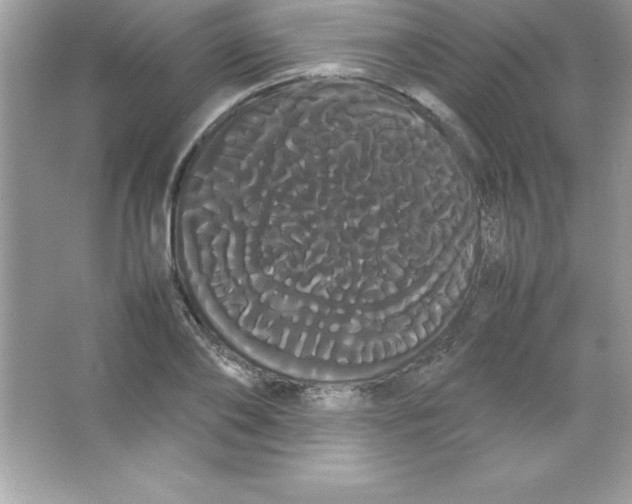 X0000066500886200604072238