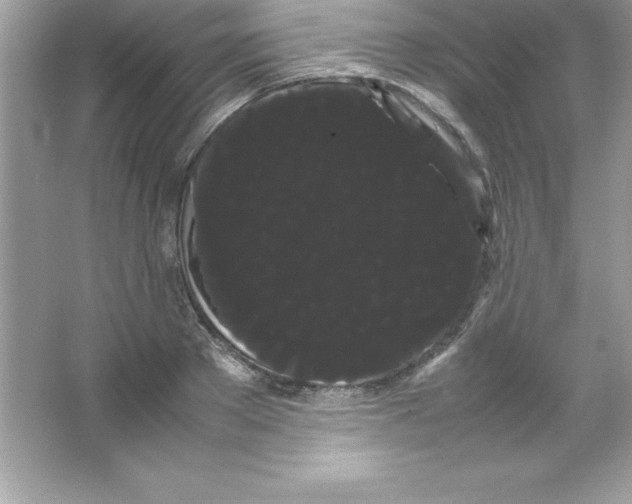 X0000066500889200604072238