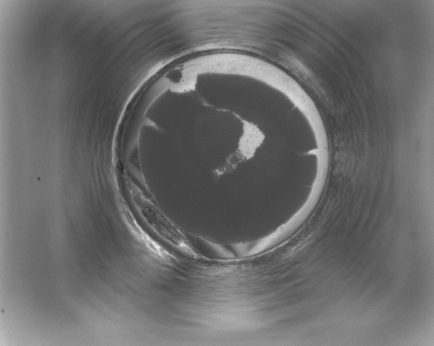 X0000066500892200604072238