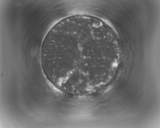 X0000066500903200604072238