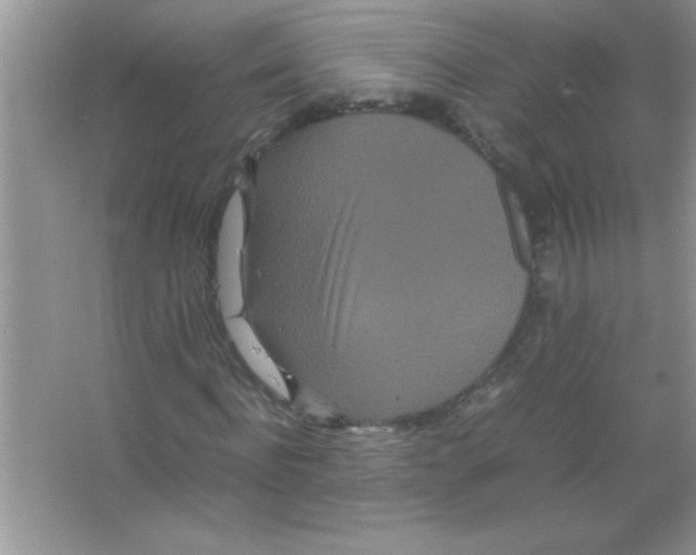 X0000066500916200604072237