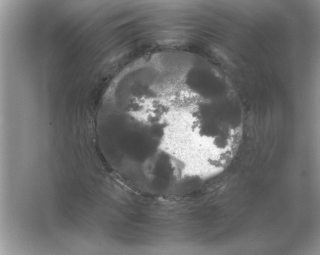 X0000066500917200604072237