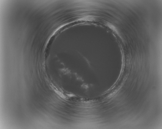 X0000066500923200604072237
