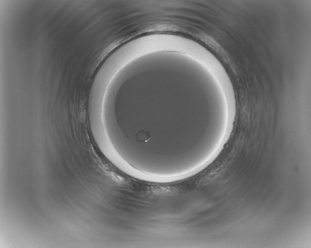 X0000066500945200604072237