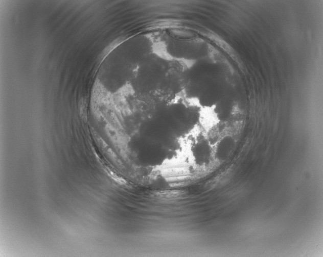 X0000066500953200604072237