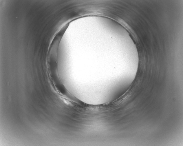 X0000066500956200604072237