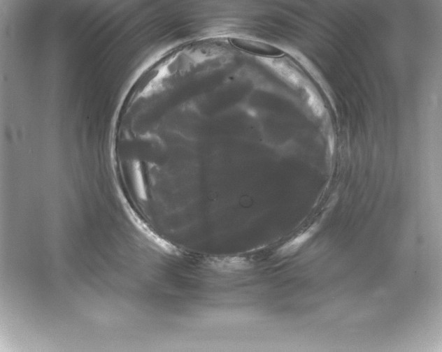 X0000066500957200604072237