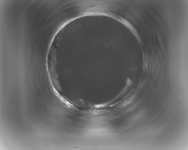 X0000066500958200604072237