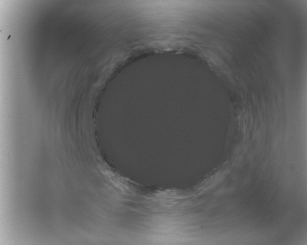 X0000066500961200604072237