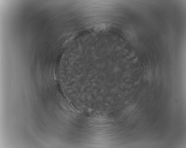 X0000066500962200604072237