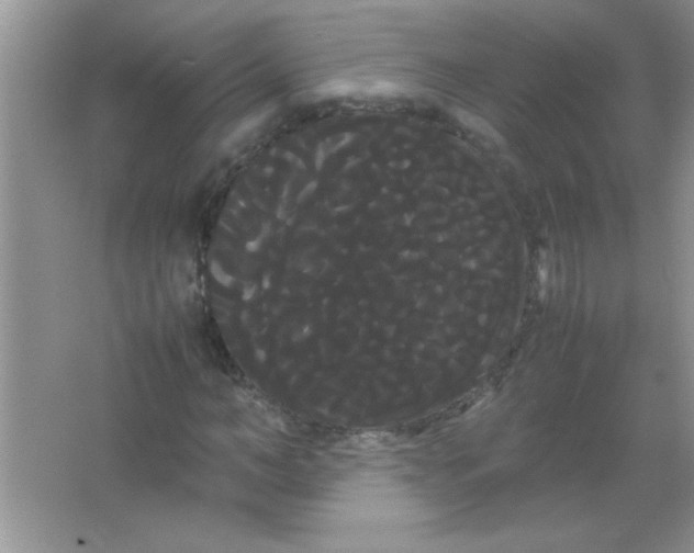 X0000066500966200604072236