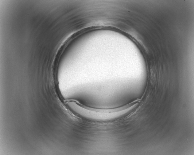 X0000066500972200604072236