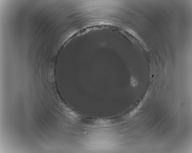 X0000066500977200604072236