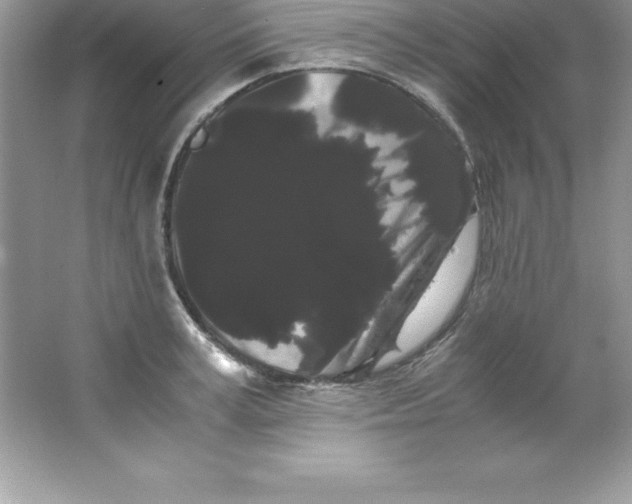 X0000066500995200604072236