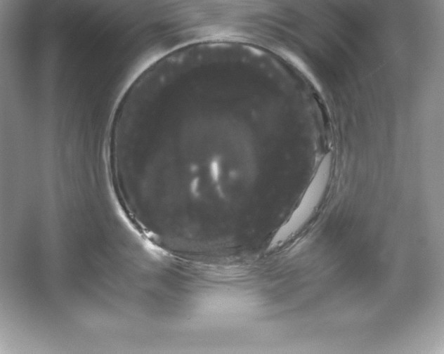 X0000066501007200604072236