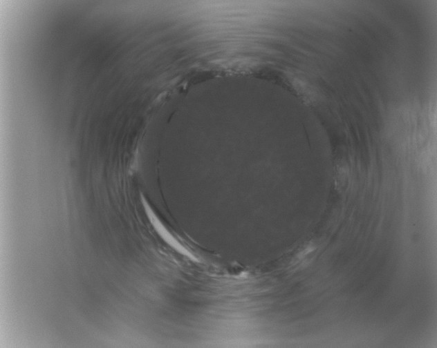 X0000066501010200604072235