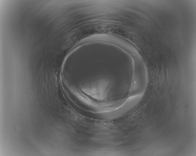 X0000066501013200604072235