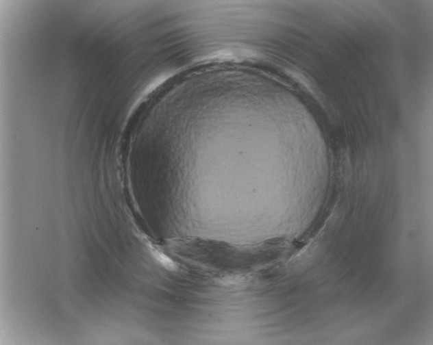 X0000066501018200604072235