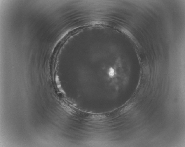 X0000066501023200604072235