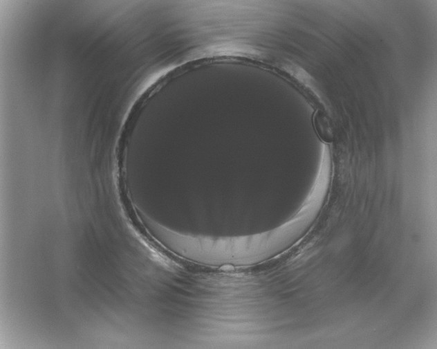X0000066501024200604072235