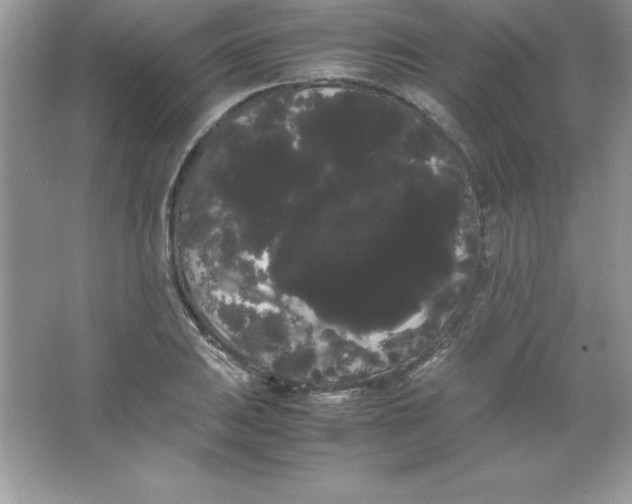 X0000066501031200604072235
