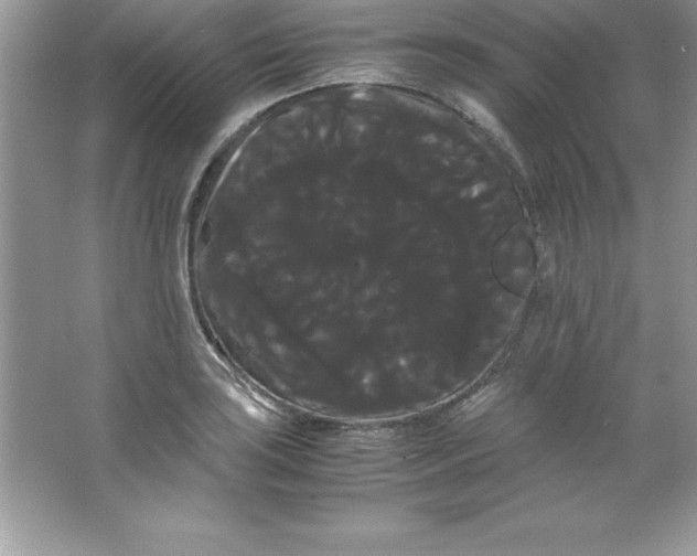 X0000066501035200604072235