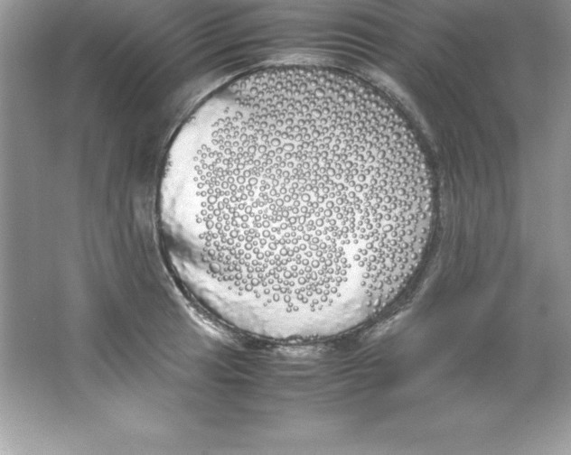 X0000066501041200604072236