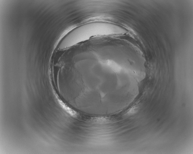 X0000066501042200604072236