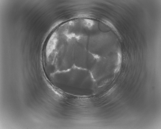 X0000066501043200604072236