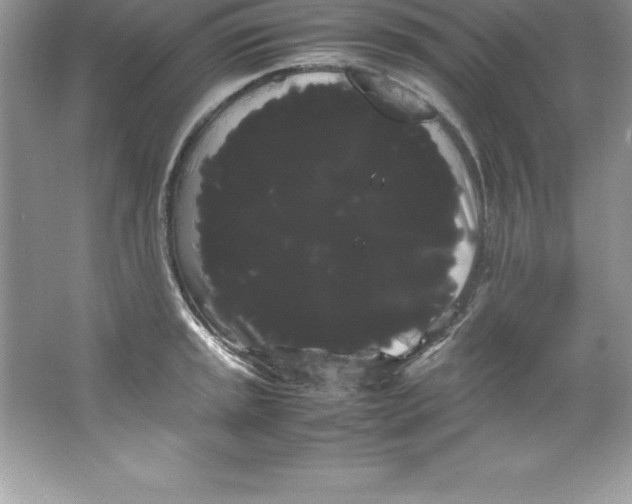 X0000066501045200604072236