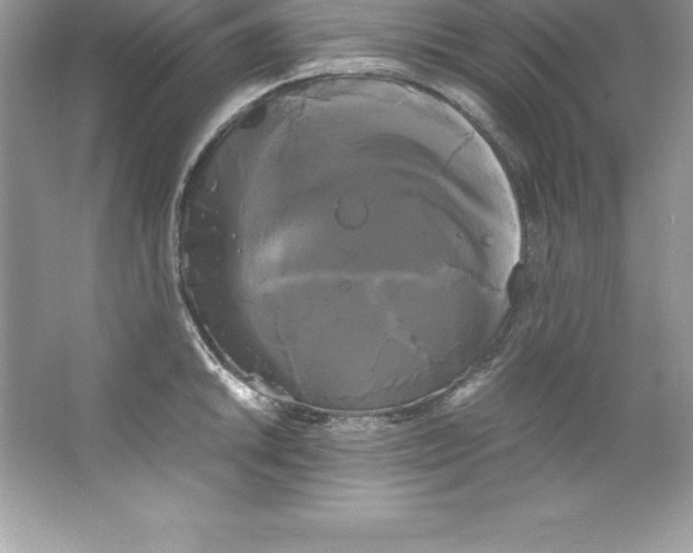 X0000066501046200604072236