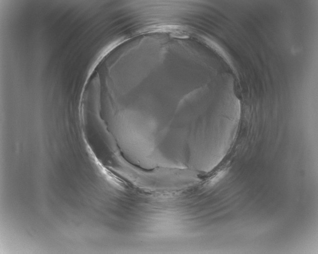 X0000066501050200604072236